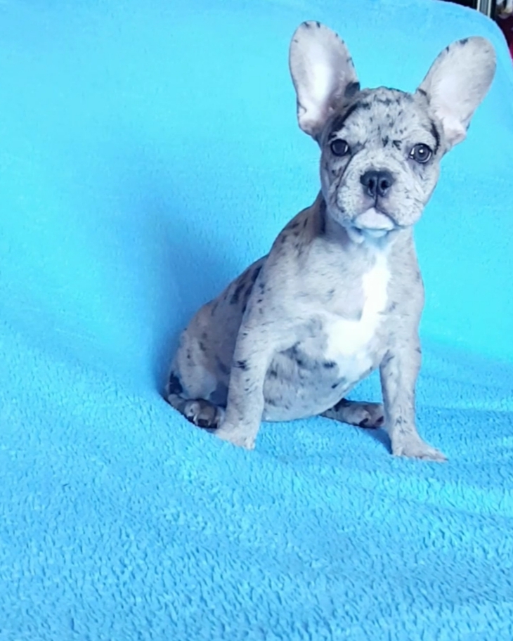 whatsapp image 2020-01-05 at 09.42.14(1).jpeg