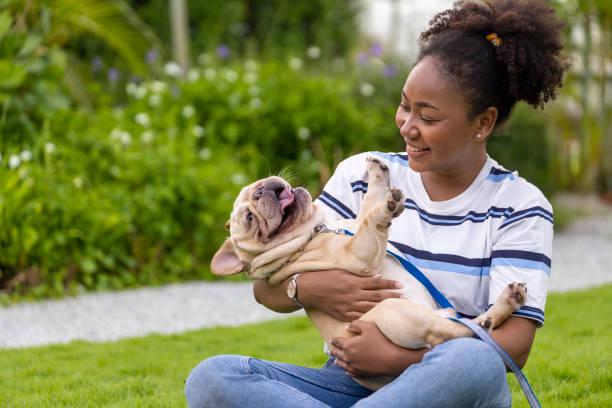 french bulldog socal.jpg