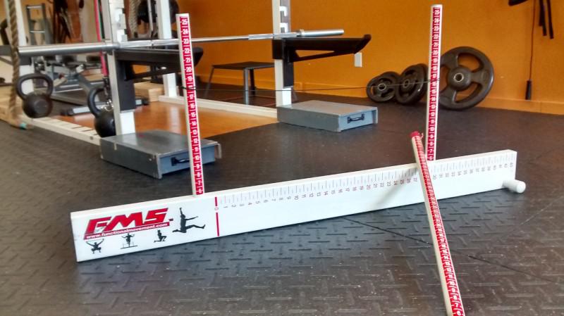 fms movement screen