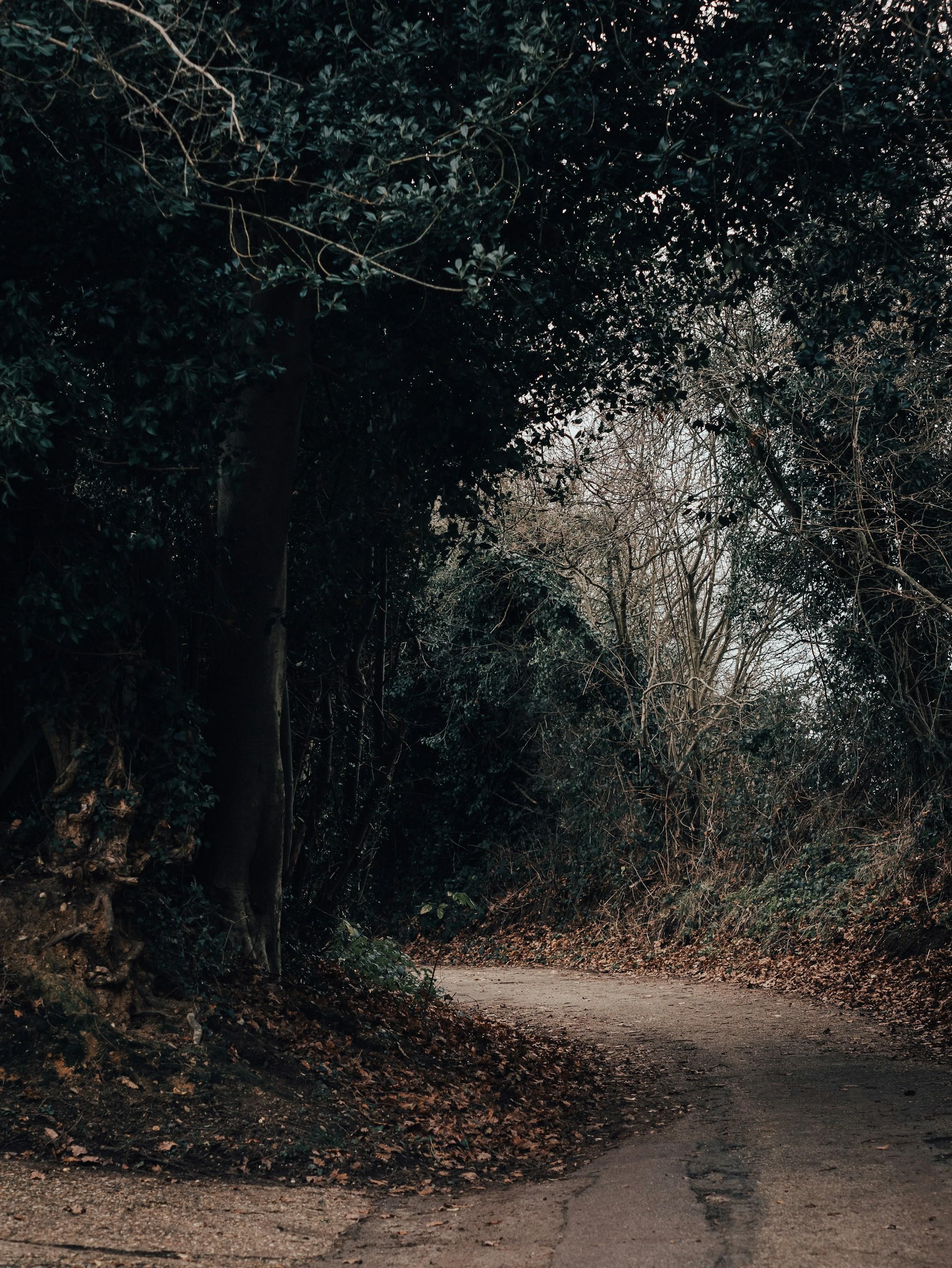 Navigating your path to a U.S. degree