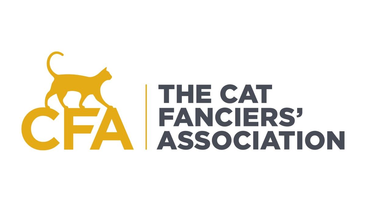 cfa_seo_logo.jpg
