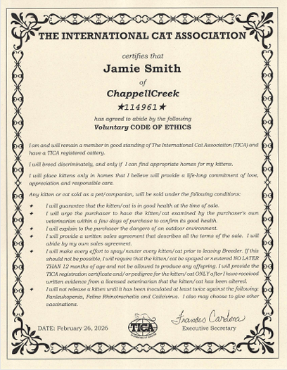 voluntary code of ethics.png