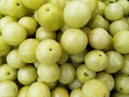 Amla(GooseBerry).jfif