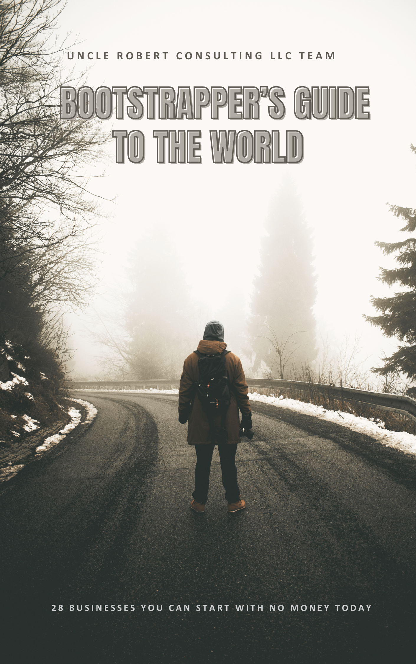 The Bootstrapper's Guide to the World book cover