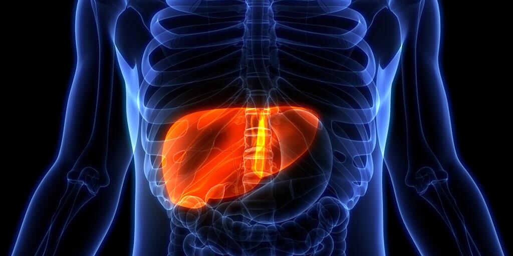 liver-dysfunction-and-back-and-shoulder-pain-1024x512.jpg