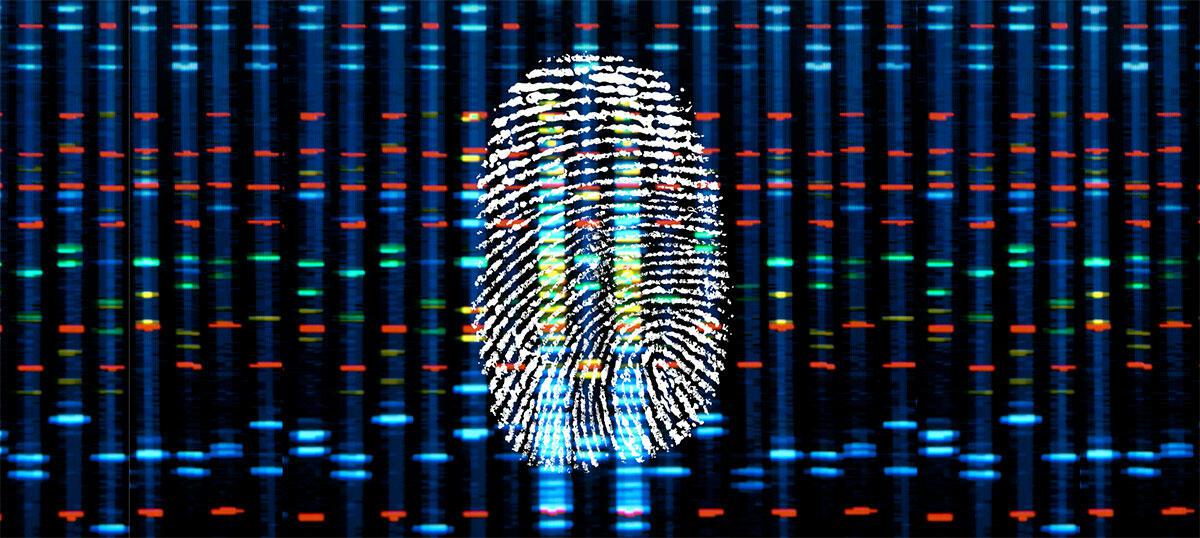 dna-fingerprinting-web.jpg