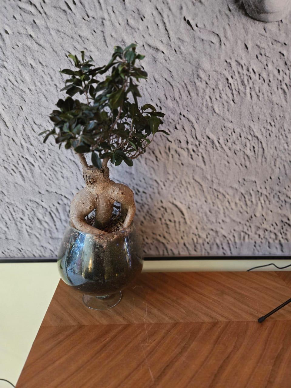 whatsapp image 2025-08-23 at 13.30.46 (5).jpeg