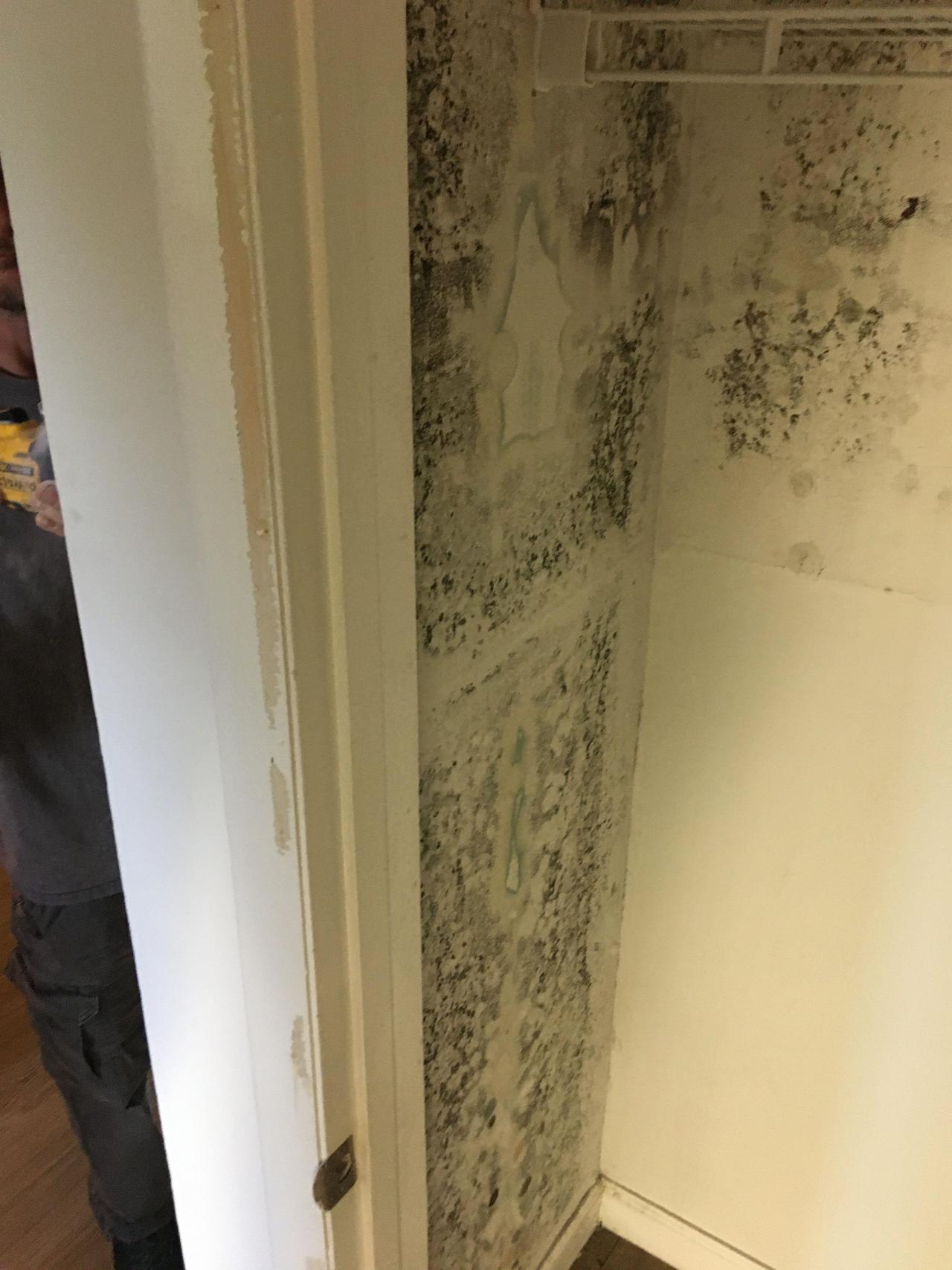 mol remediation3.jpg