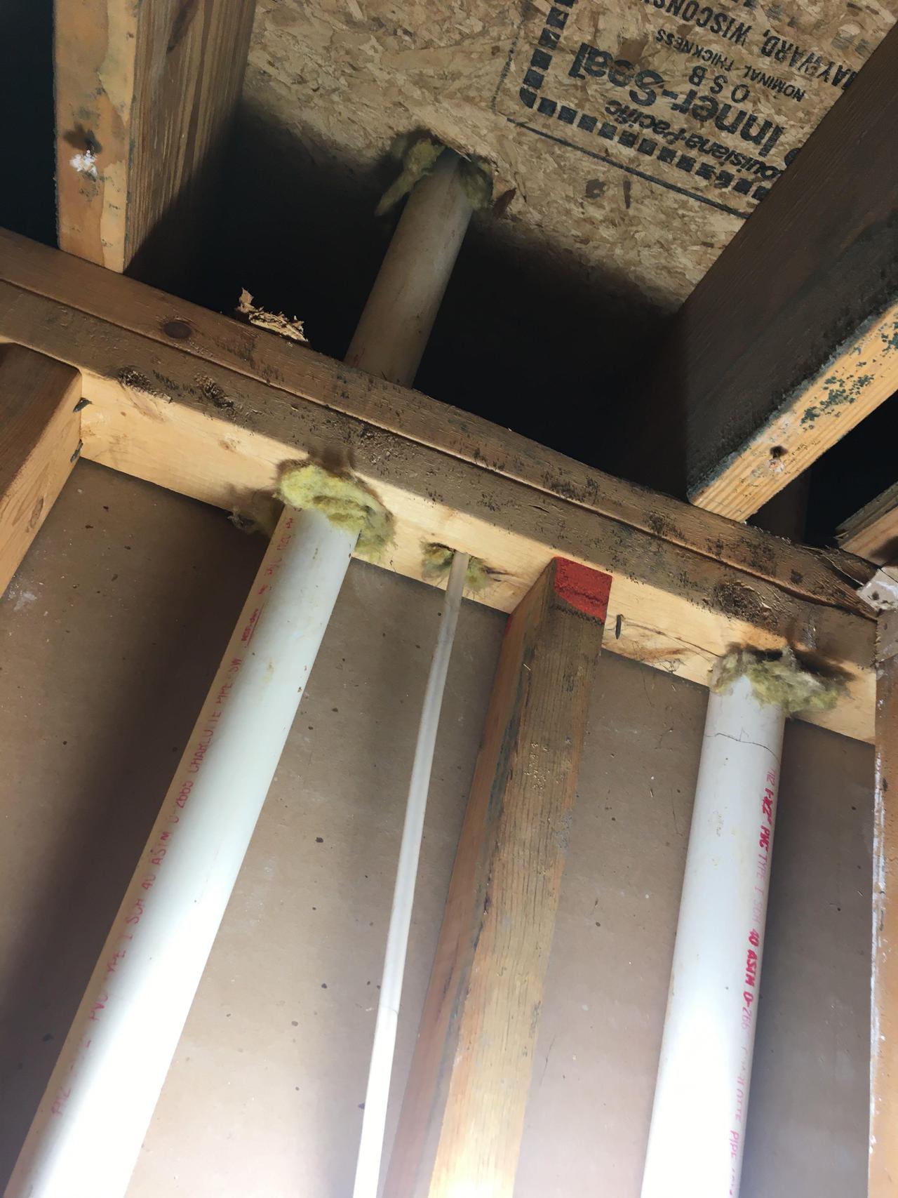 mol remediation4.jpg