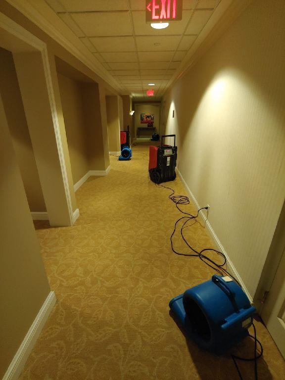 wtr adams place hall.jpg