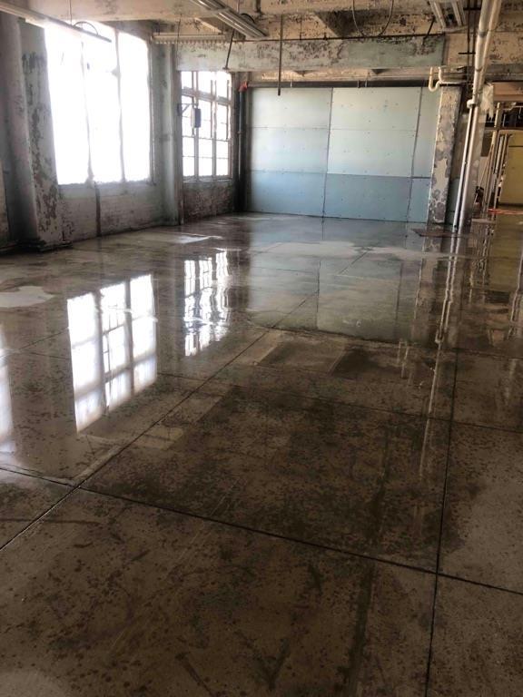 wtr duke big room.jpg