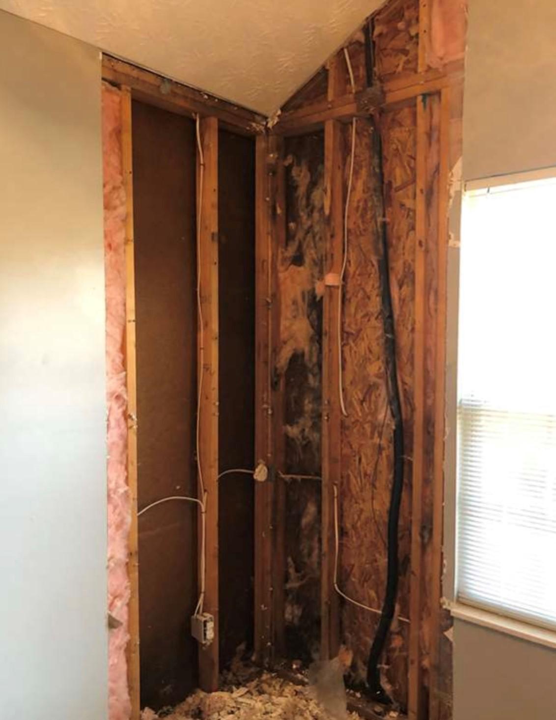 wtr intrusion interior.jpg