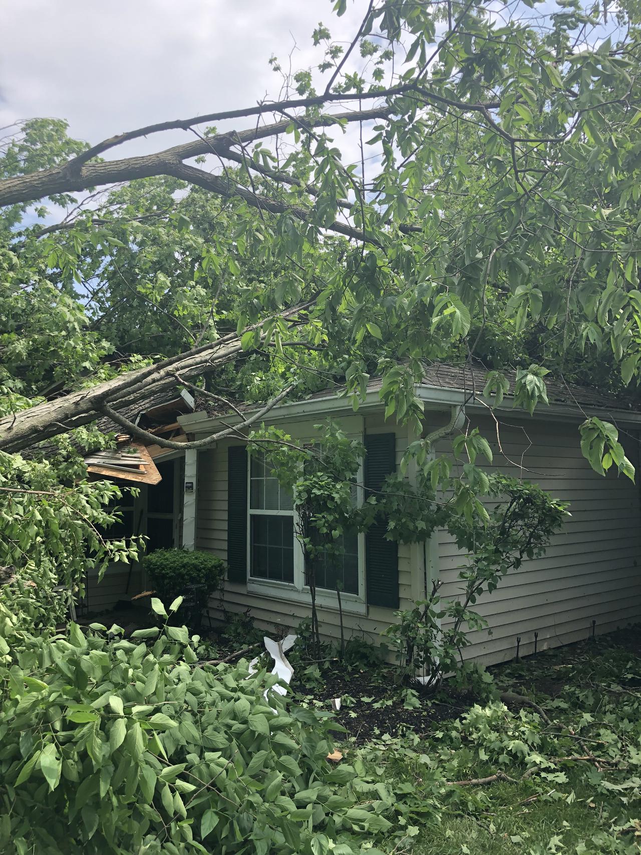 photo may 28, 11 20 01 am.jpg