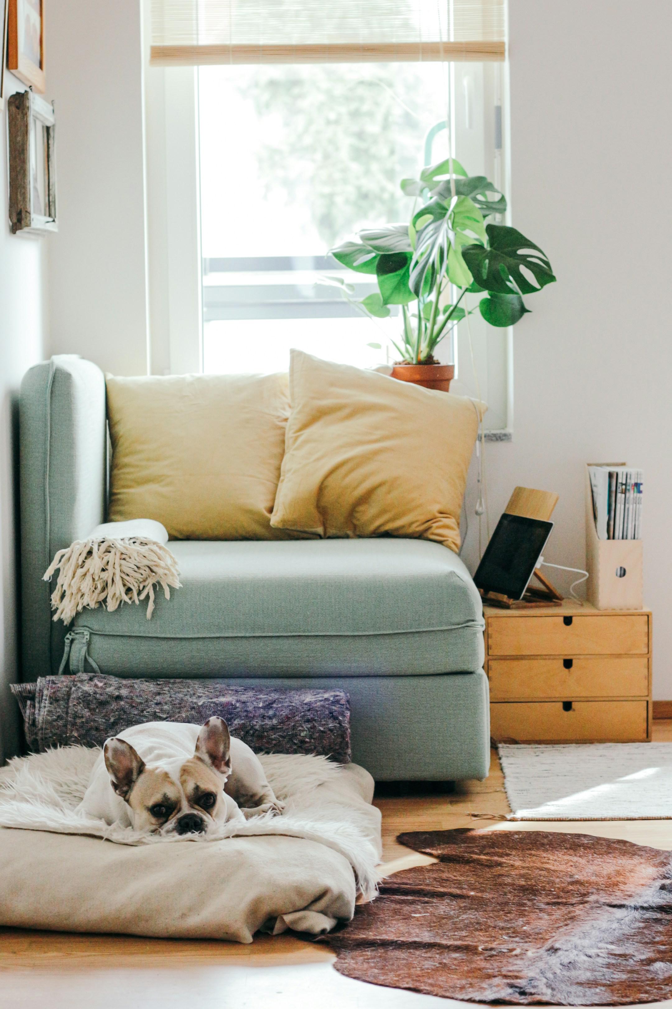 Staging and home preparation