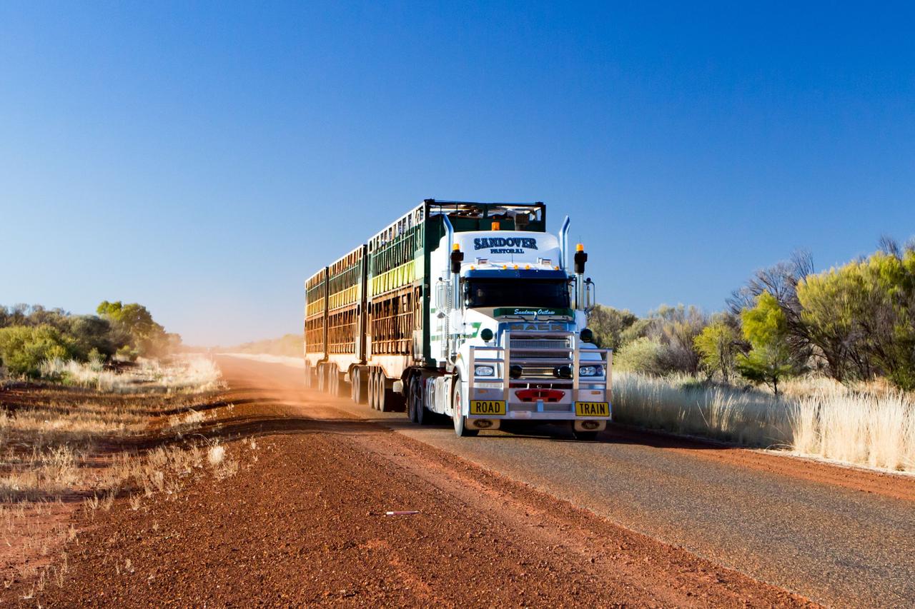 shutterstock_1756506140 (1).jpg