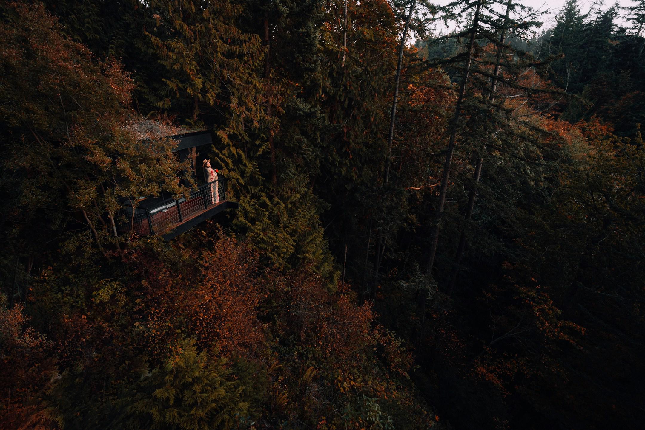 treehouse vibes