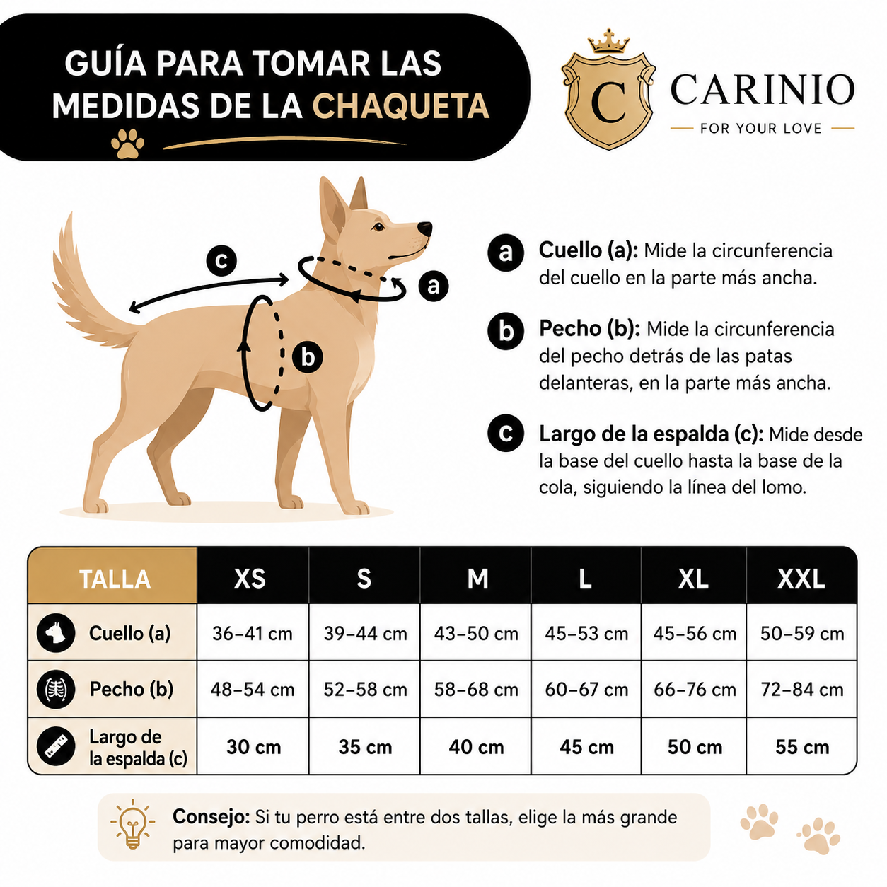 Guía para medir la talla de la chaqueta de tu mascota