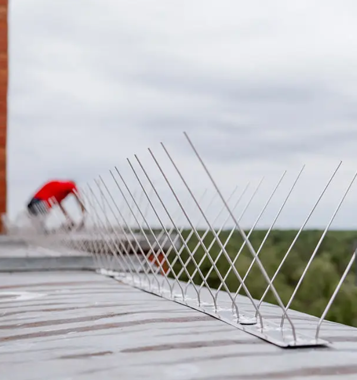 screenshot 2026-02-05 130106.png