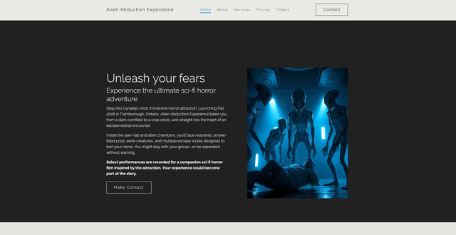 An Alien Abduction Experience