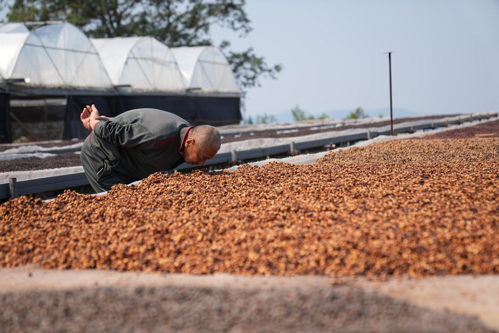 2021-03-06 115152.jpg