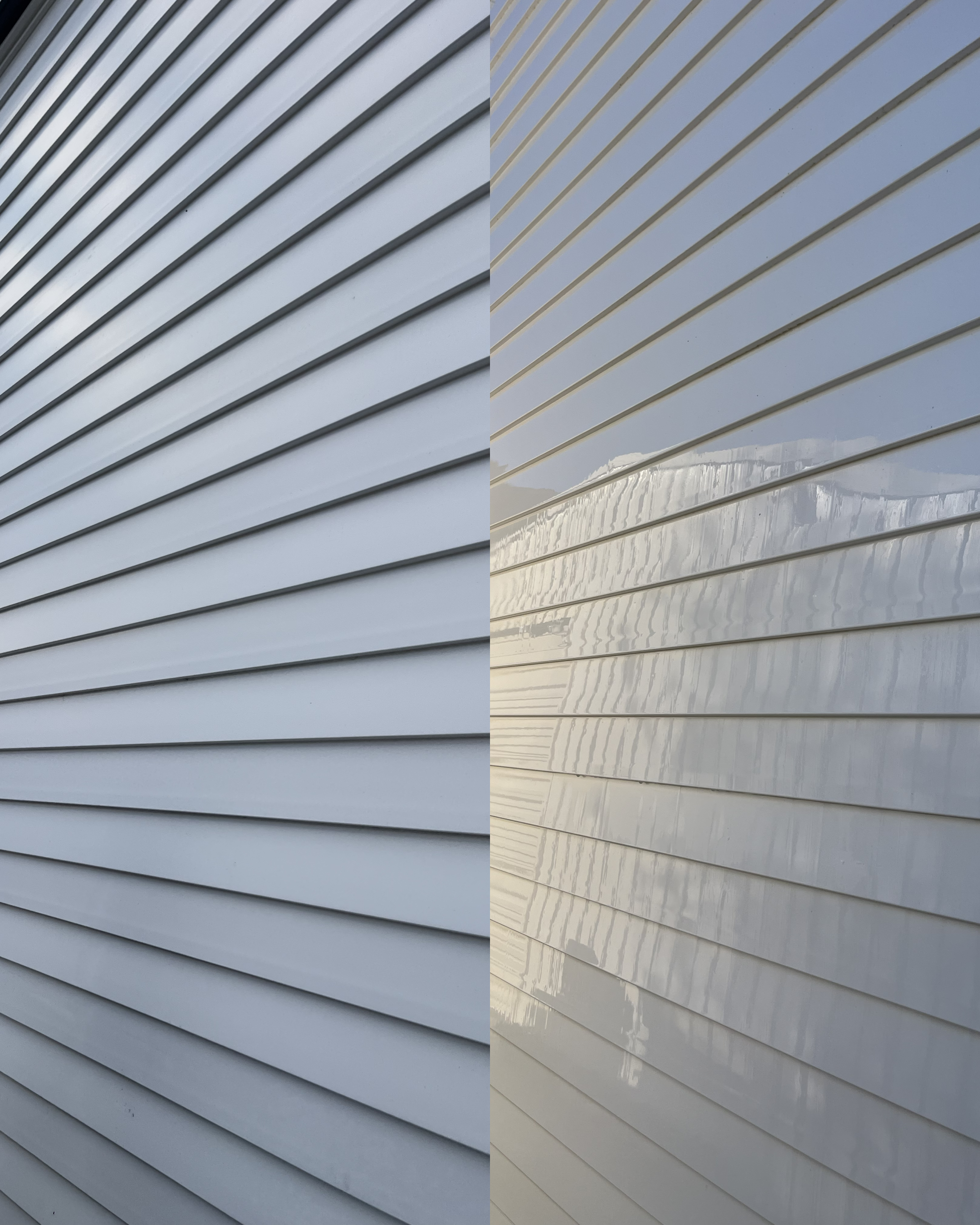 Roof Cleaning & Treatment