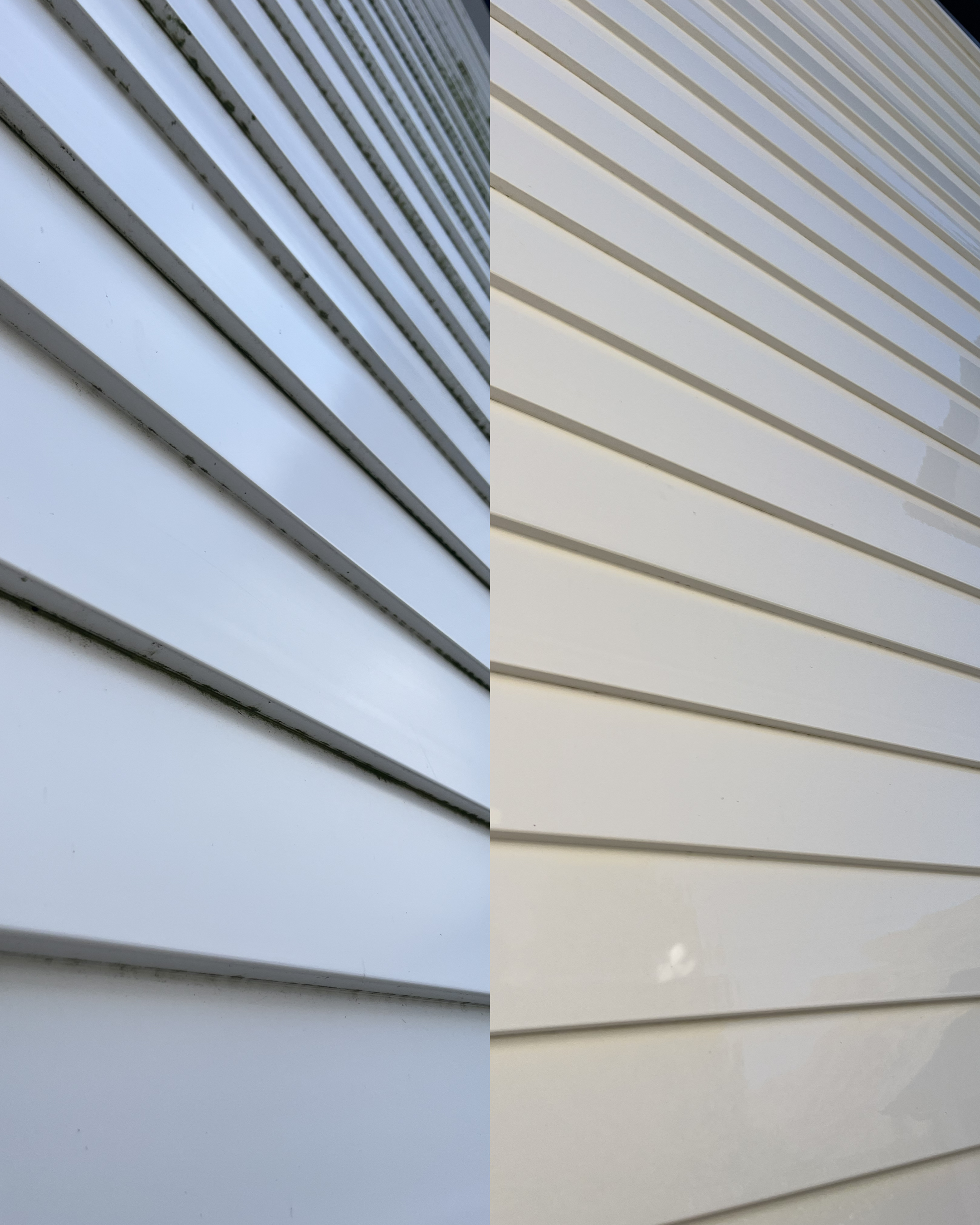 Roof Cleaning & Treatment