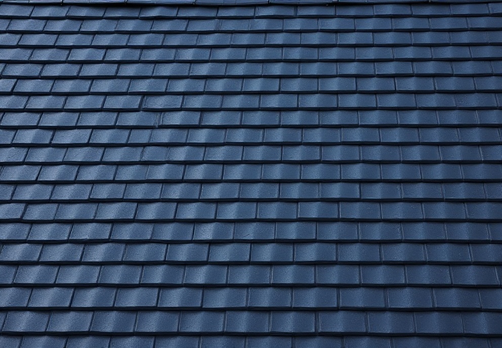 Professional roof cleaning and treatment