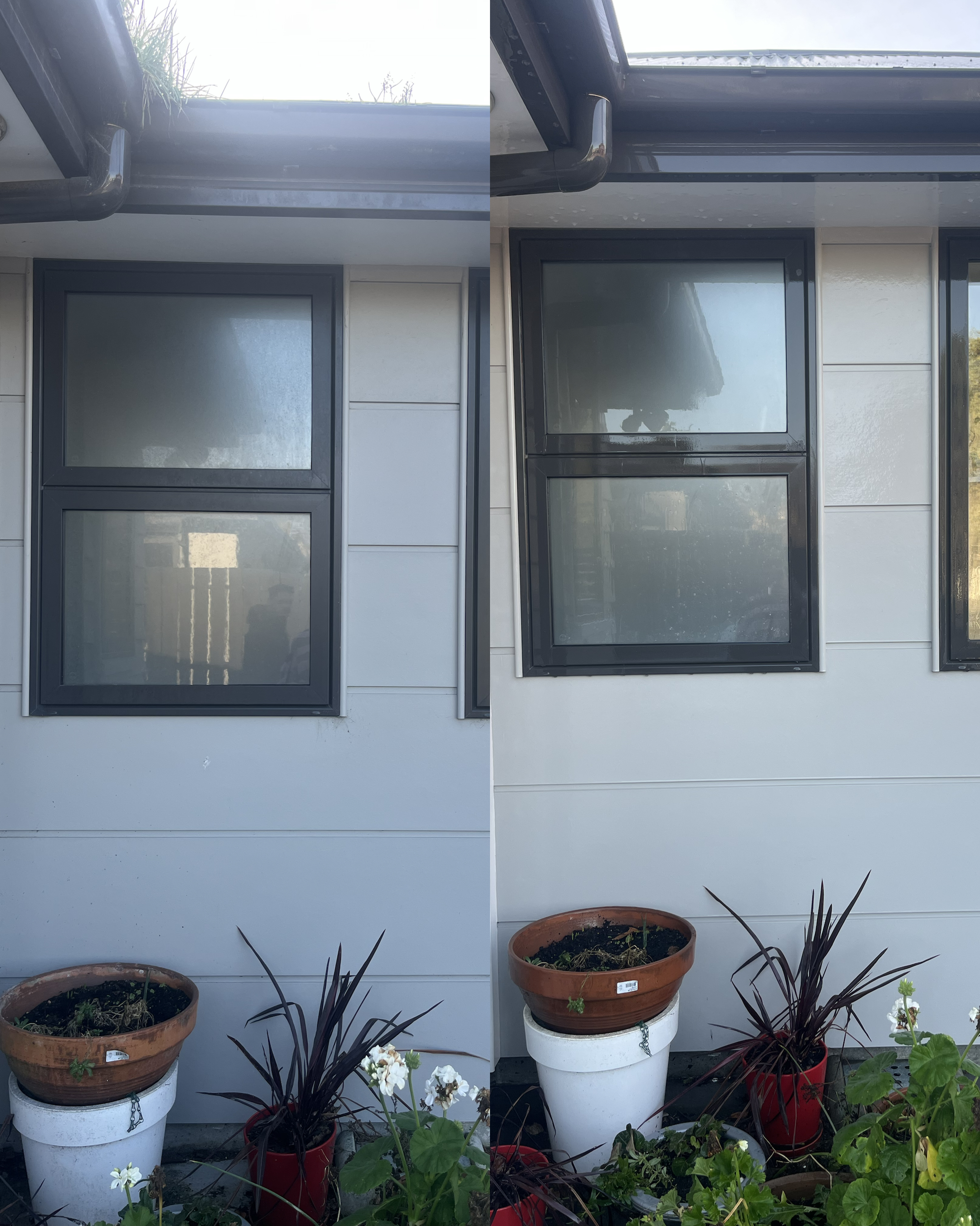 Fence cleaning transformation - before and after