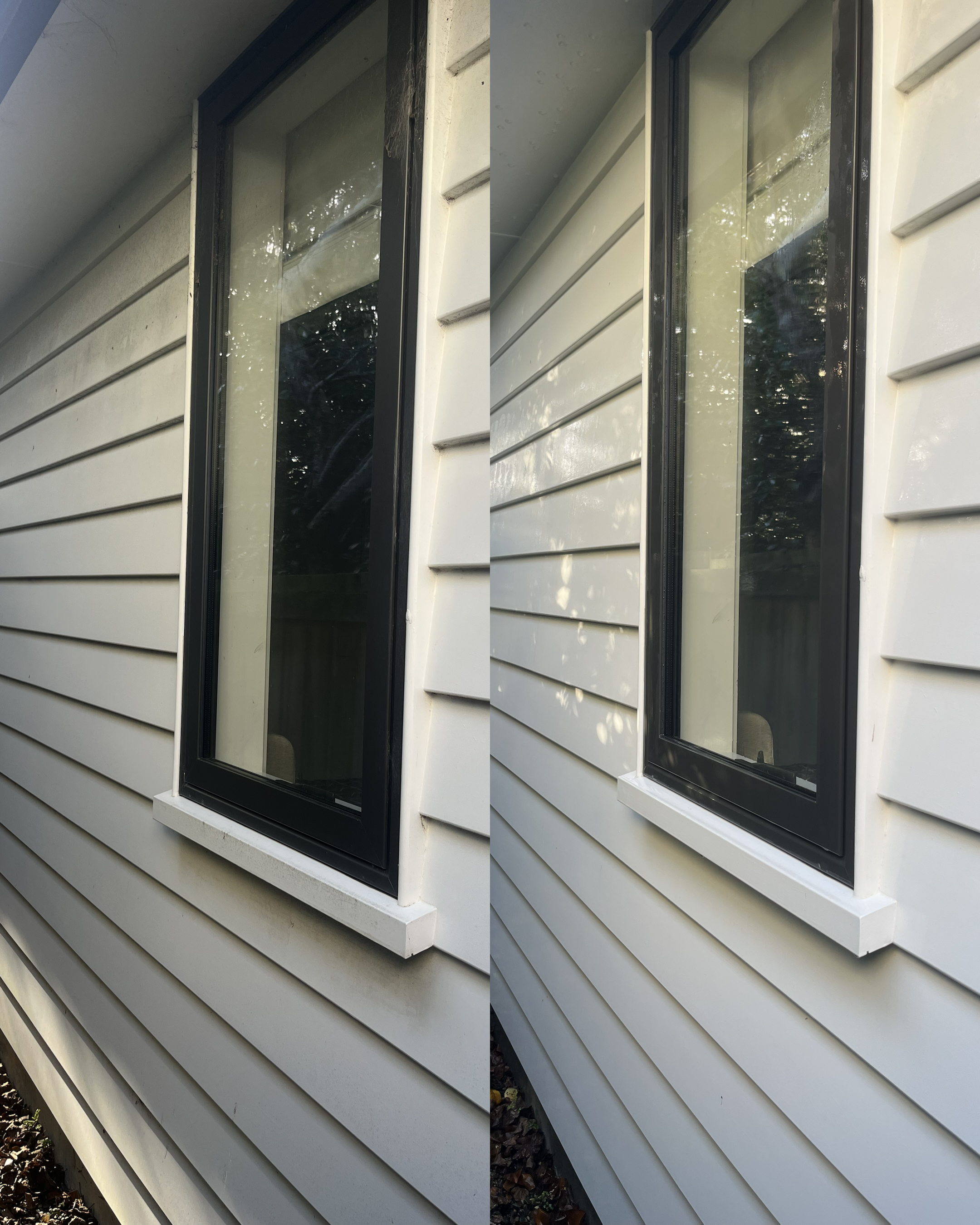 House exterior showing dirt, mould and organic buildup