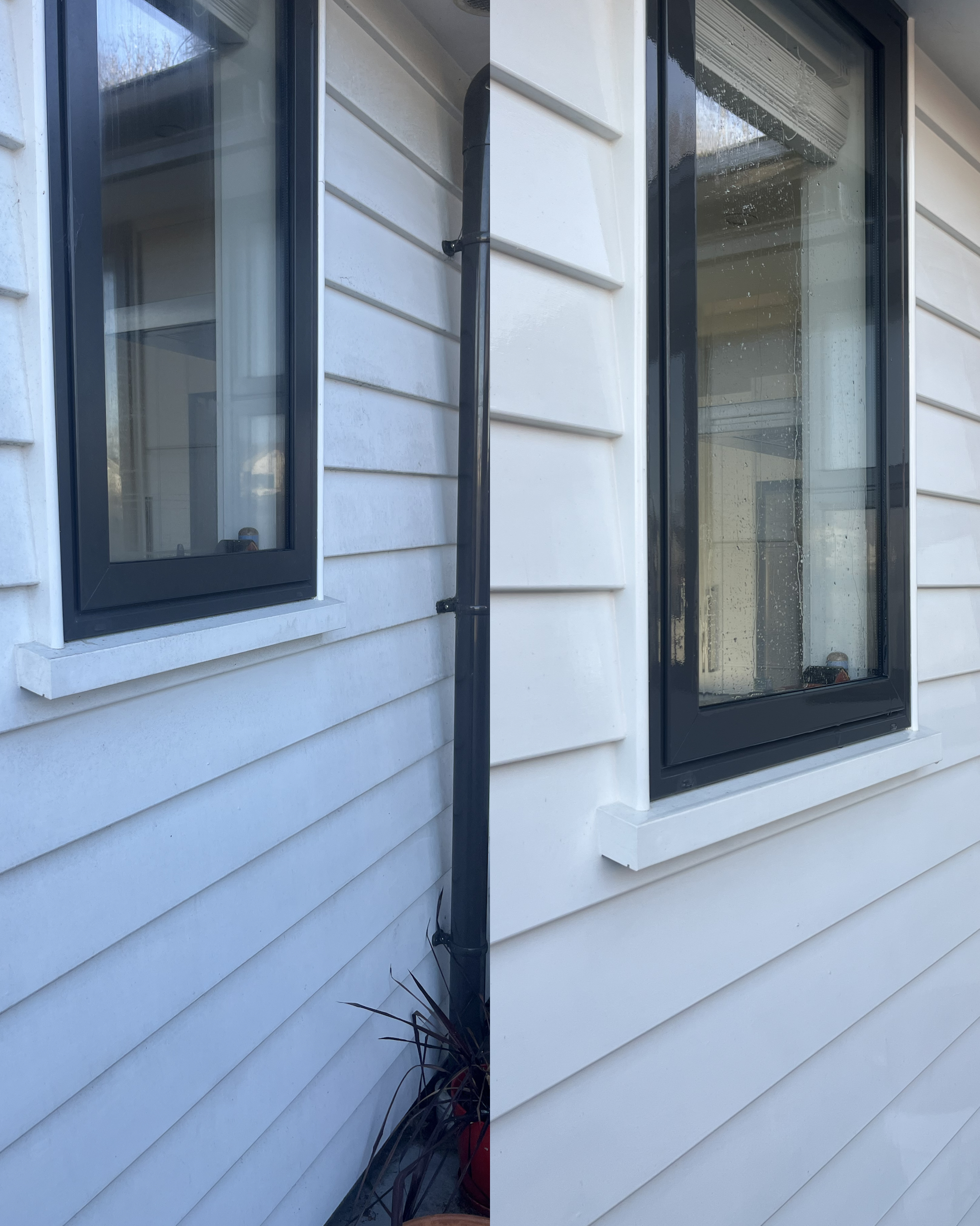 Professional fence cleaning service