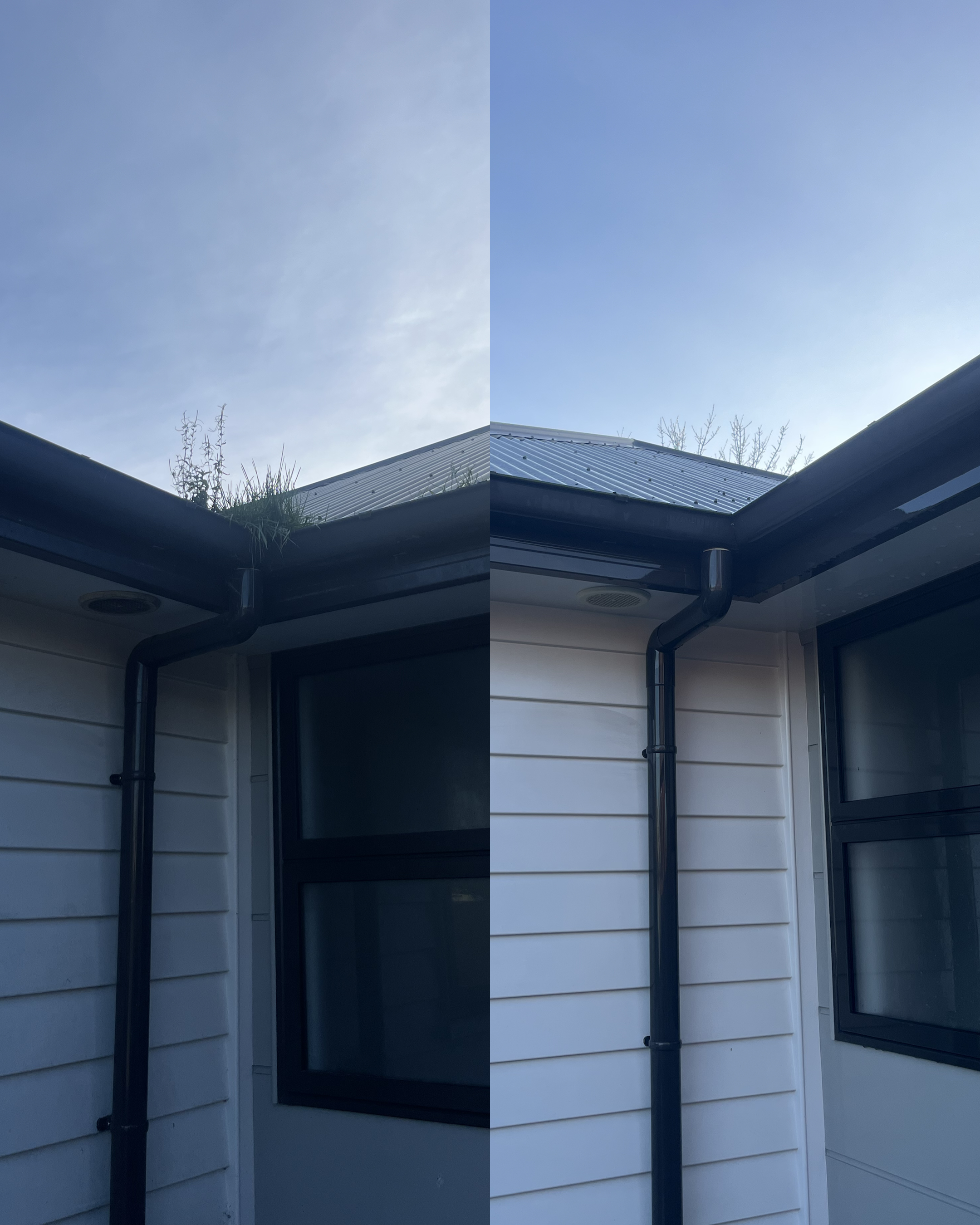 Fence exterior showing dirt, mould and organic buildup