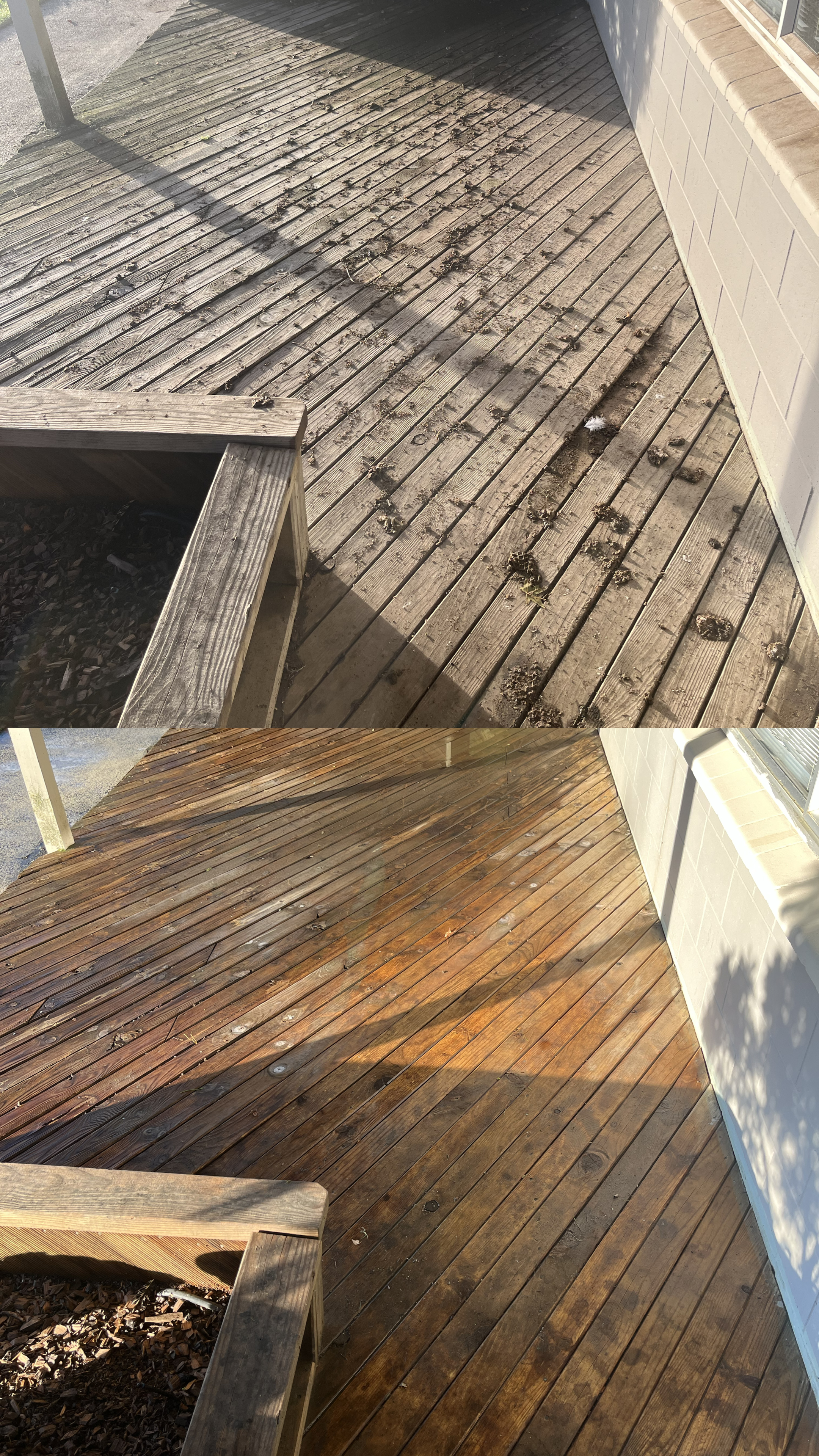 Before cleaning