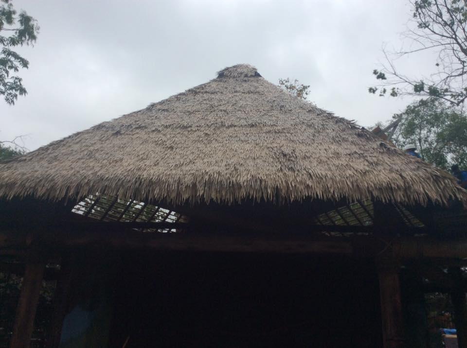 santa ana zoo roof 2.jpg