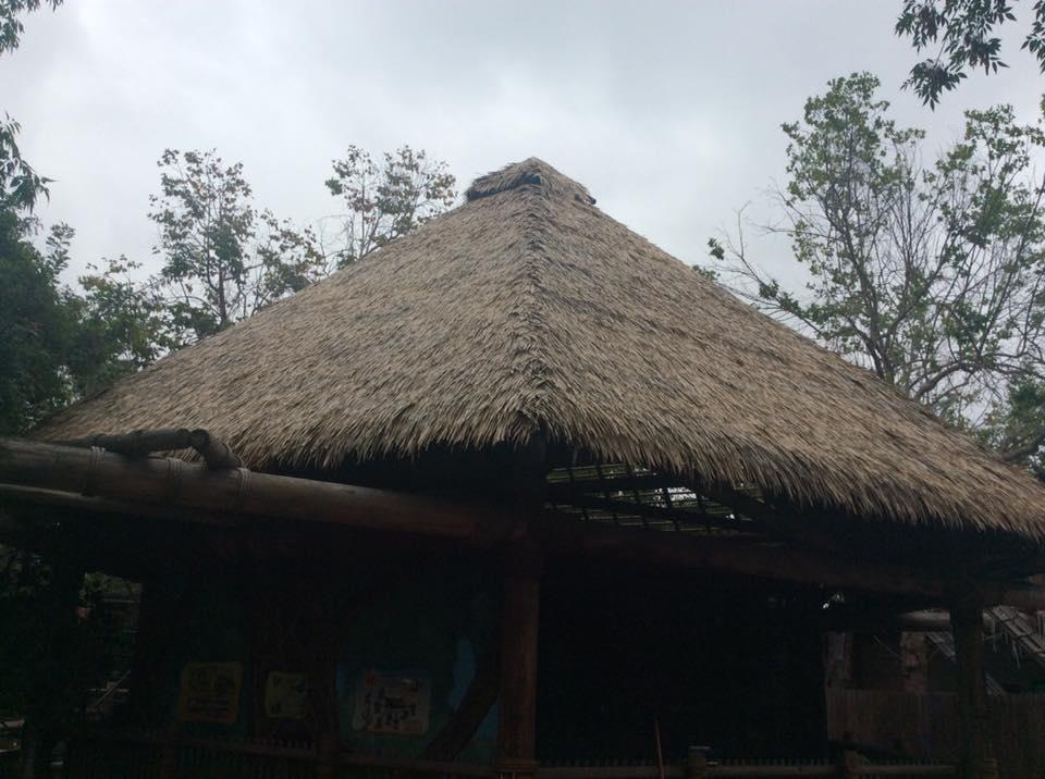 santa ana zoo roof.jpg