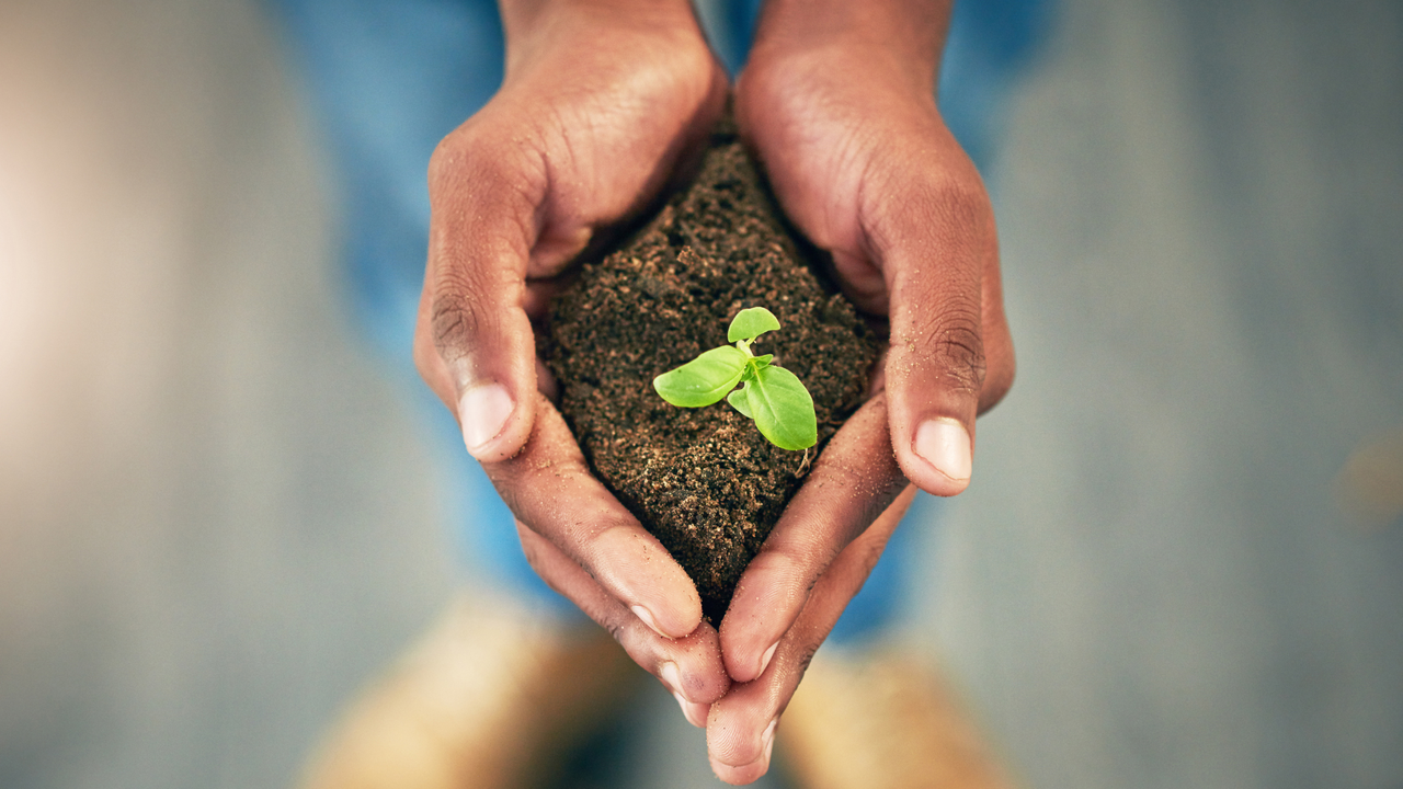 website blog pictures.png