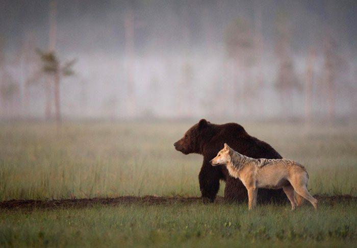 extraordinary-friendship-in-finnland.jpg