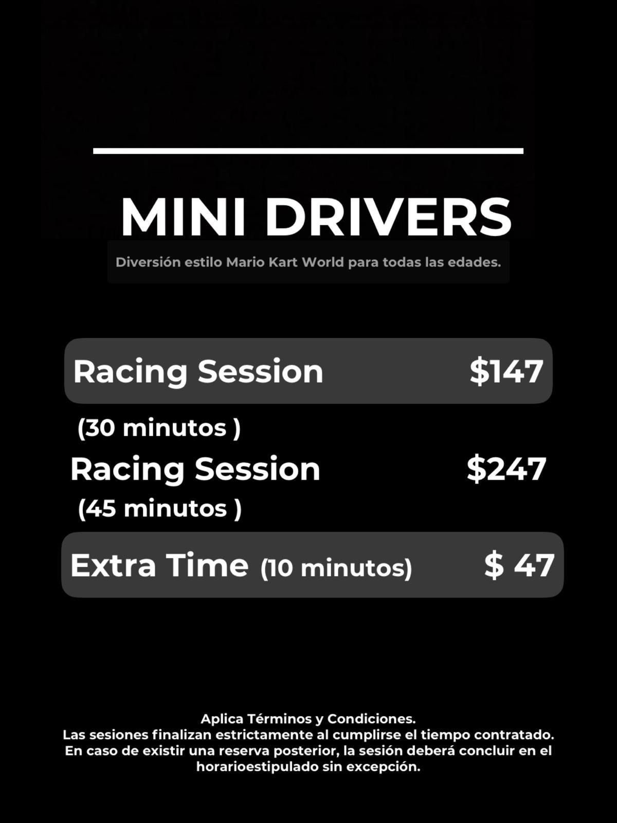 mini drivers.jpeg