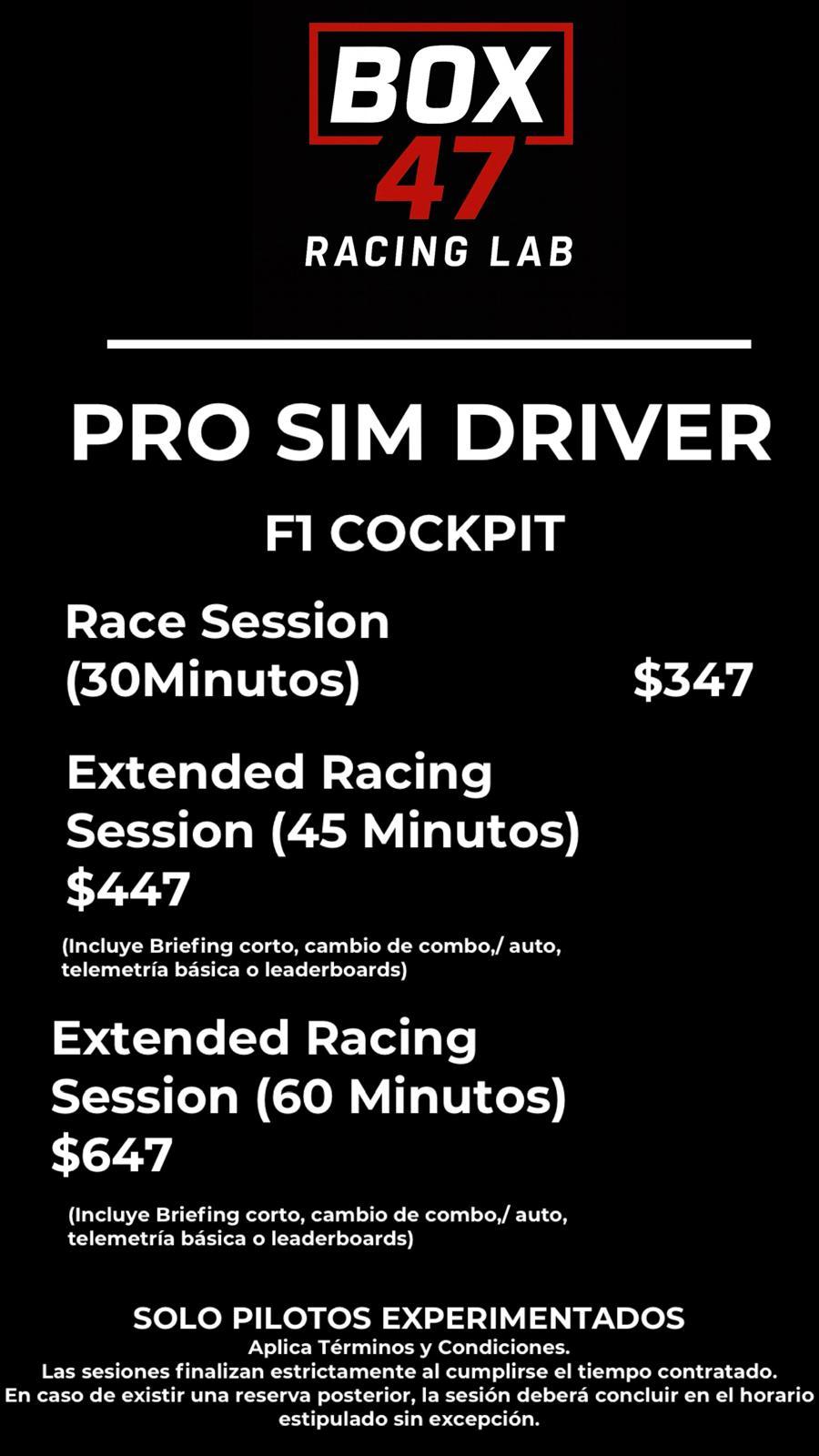 pro sim.jpeg