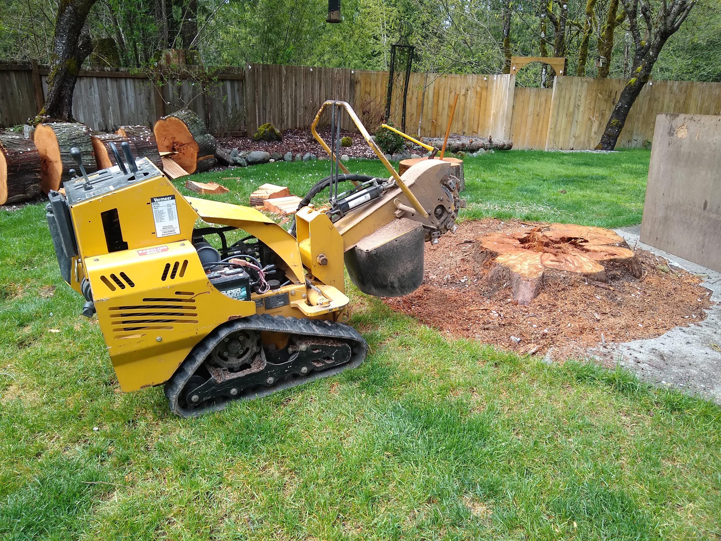 Stump Grinding Machines Mister Stump Grinder