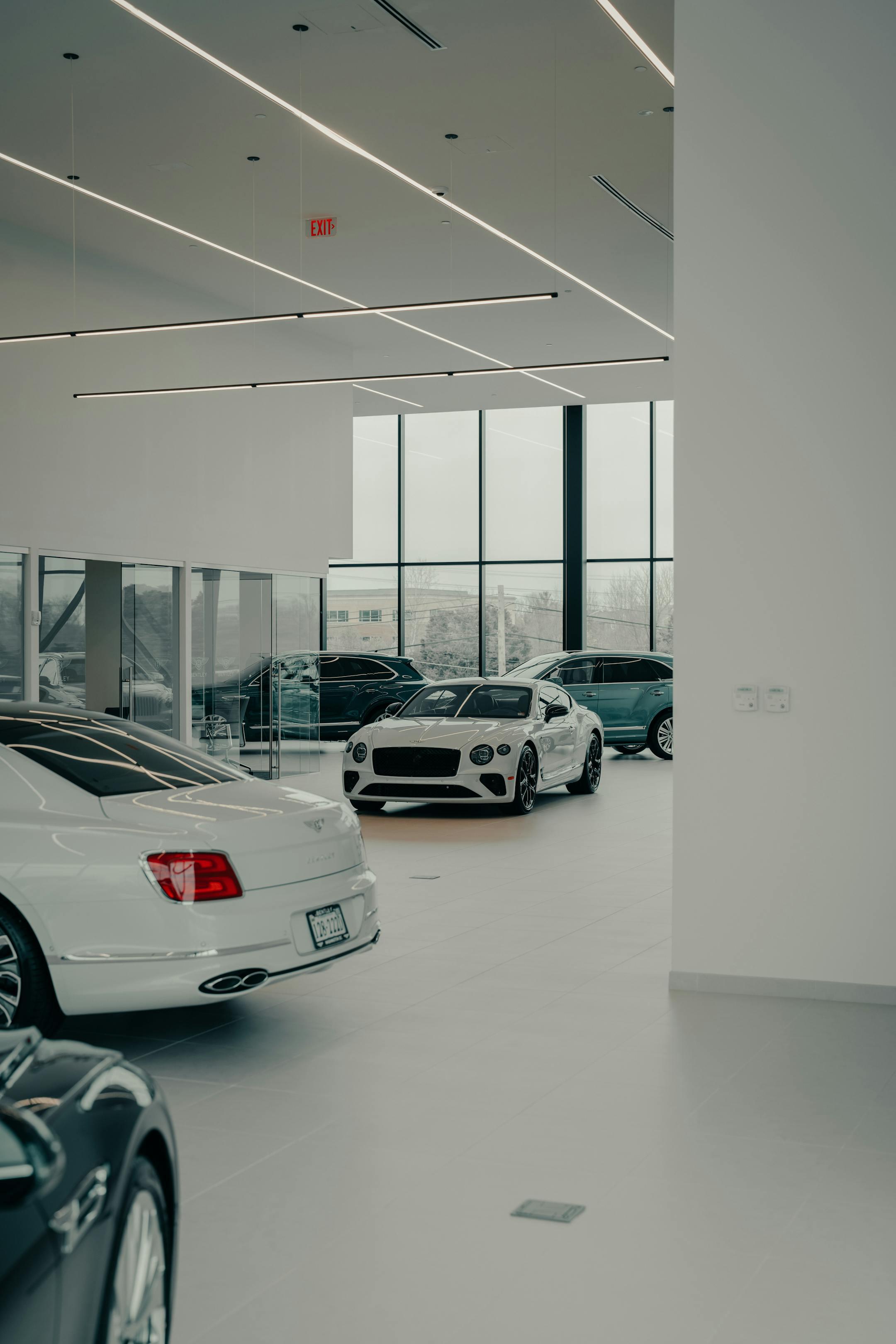 Sleek Bentley cars showcased in a contemporary indoor dealership space, emphasizing luxury and design.