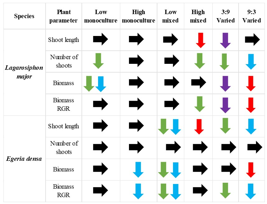 figure 2.png