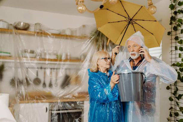istockphoto-2205876978-612x612.jpg