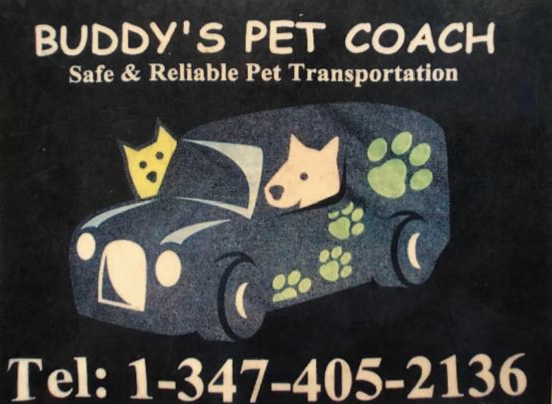 A poster for Budy's Pet Coach with a cartoon rendering of dogs in a van and a telephone across the bottom.