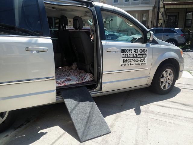 A ramp positioned against a van to help pets enter.