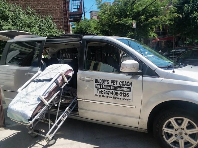A strether being loaded into a company van.