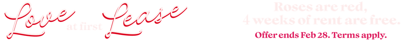 salt flatsdesktop.png