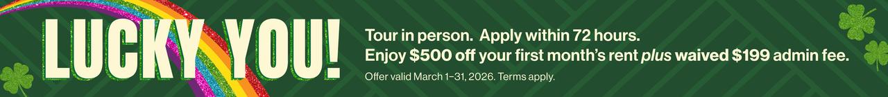 st. patrick's day leasing special_salt flats_v1.jpg