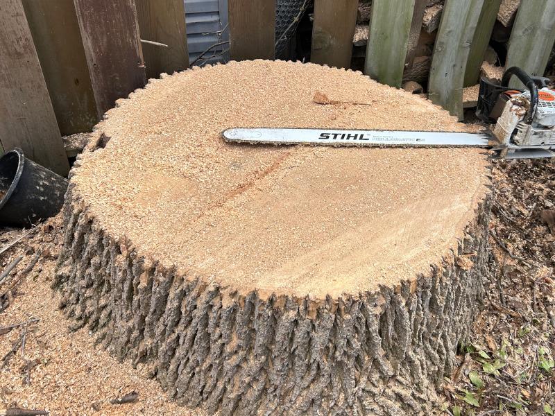 stump_grinding.jpg
