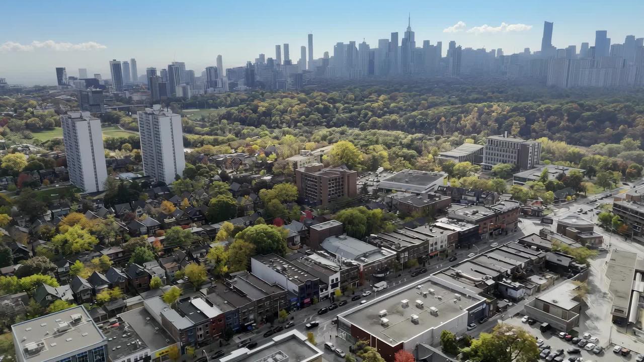 bosley cinematic video (compressed).mp4