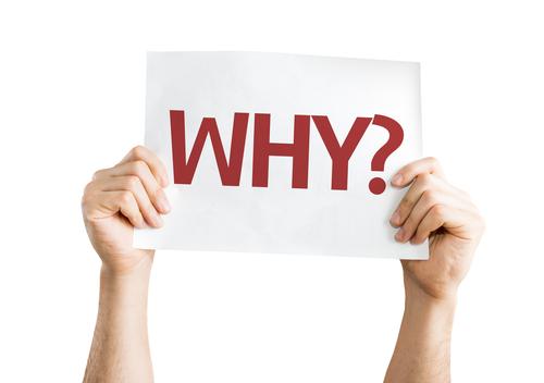 purpose 2.jpg